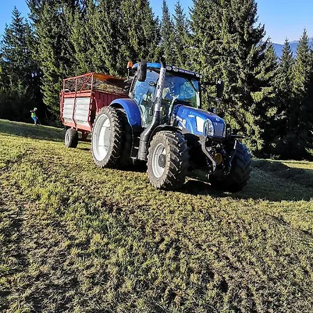 公寓 Hochmuthhof *