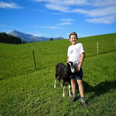 公寓 Hochmuthhof 里斯奥尔巴赫塔