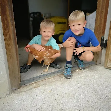 Hochmuthhof * 里斯奥尔巴赫塔