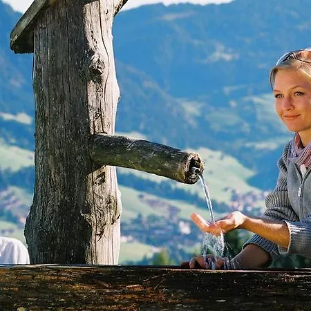 Hochmuthhof 公寓 *