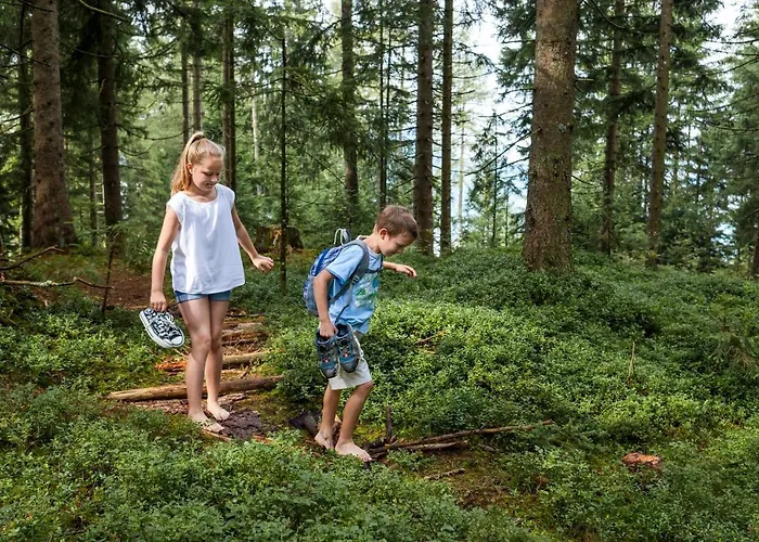 Hochmuthhof Райт (Альпбахталь)