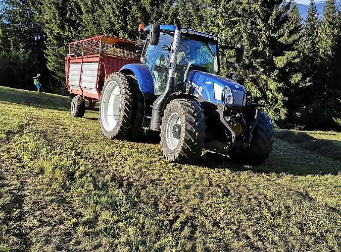 Апартаменты Hochmuthhof *