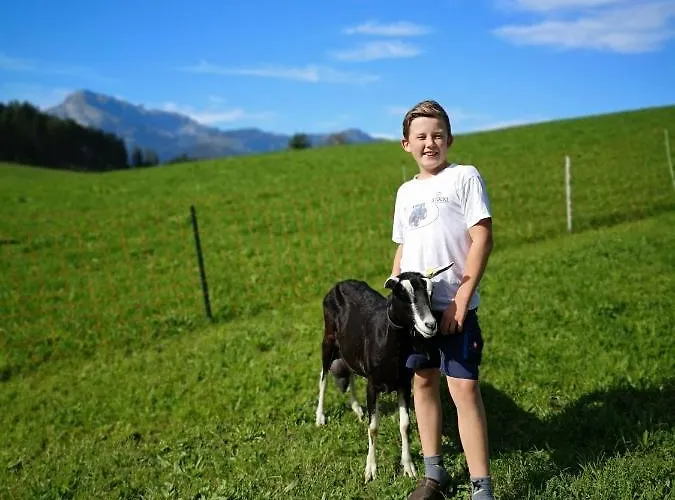 Апартаменты Hochmuthhof Райт (Альпбахталь)