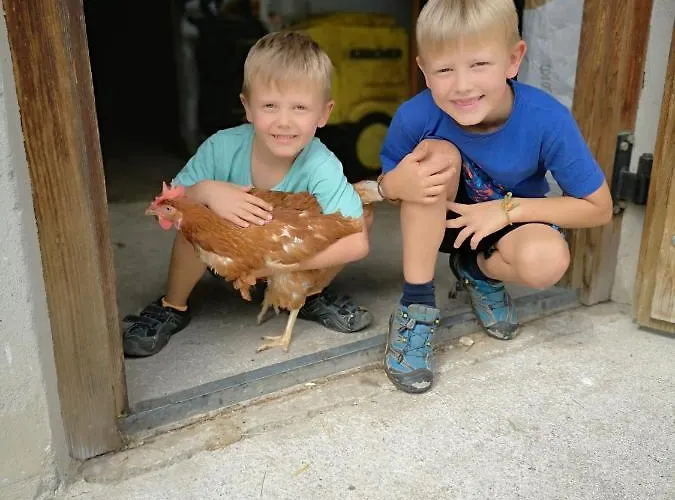 Hochmuthhof * Райт (Альпбахталь)