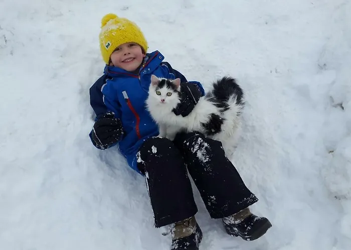 Hochmuthhof * Райт (Альпбахталь)